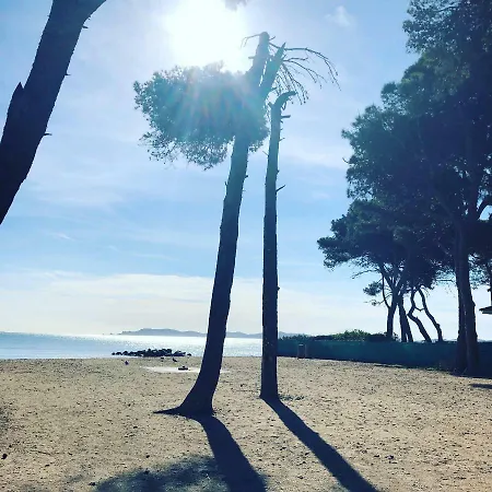 Port Les Palmiers Apartment Hyeres
