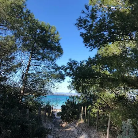 Port Les Palmiers *