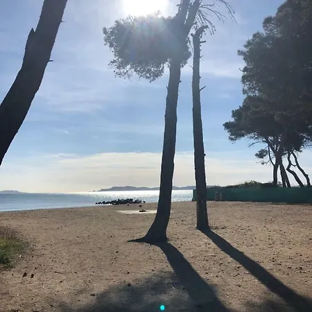 Port Les Palmiers Apartment