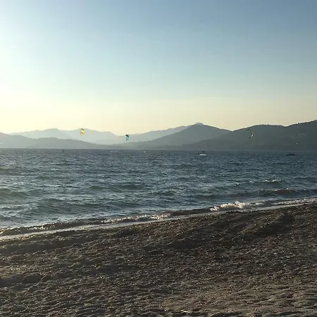 Port Les Palmiers *