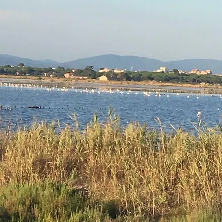 Port Les Palmiers